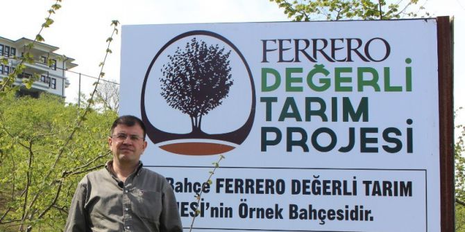 Yeşil Kokarca Fındıkta Randımanı Ve Kaliteyi Düşürüyor