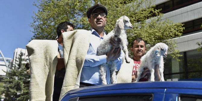 Başkent’in Merkezine Çiftlik Kuruluyor