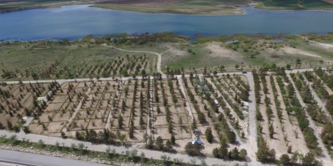 Cihanbeyli’ye Hobi Bahçeleri Oluşturuldu