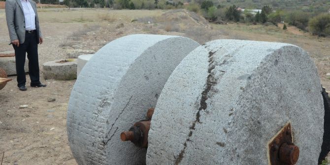 Sarıcakaya Zeytini En Düşük Asit Oranına Sahip