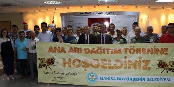 Turgutlulu Üreticilere Ana Arı Desteği
