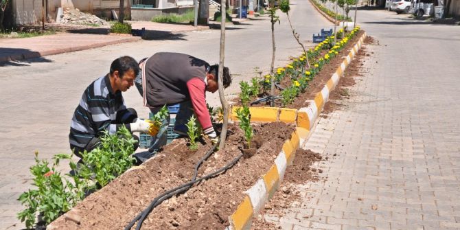 Yazlık Çiçek Dikimi Devam Ediyor