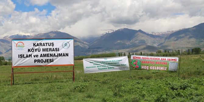 Karatuş Köyü Merası Otlatmaya Açıldı