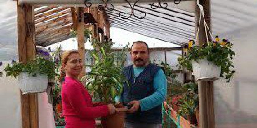 Bu Hastanede Çiçekler Var