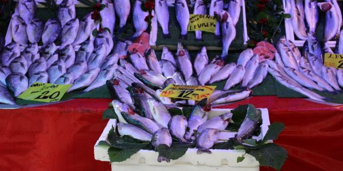 Balık Fiyatları Cep Yakıyor