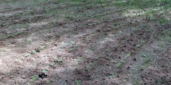 İzmir’de 25 Milyon Değerinde Uyuşturucu Madde Ele Geçirildi