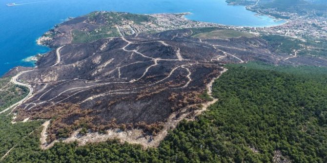 Yanan Orman Yeşile Büründürülecek