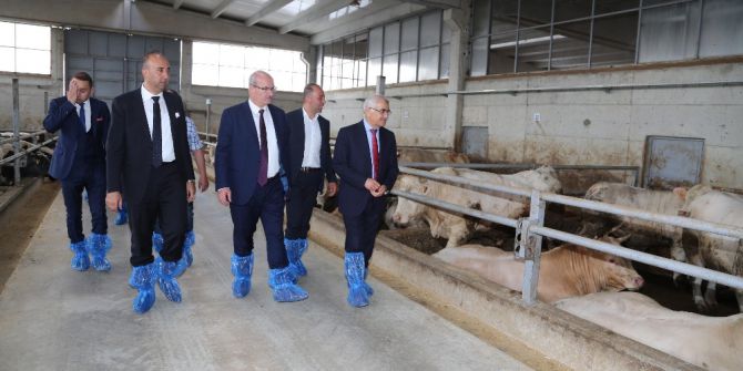 Ato Başkanı Baran Sincan Hayvancılık Bölgesini Ziyaret Etti
