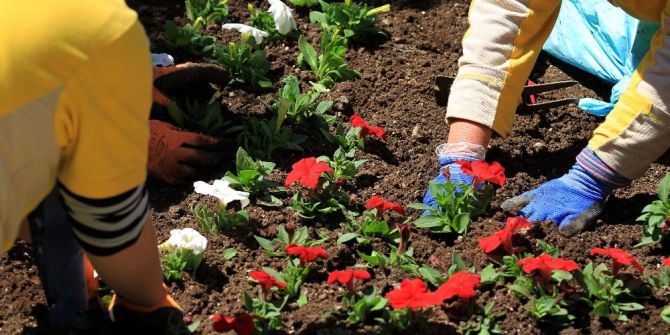 Çankaya’da Hedef 1 Milyon Çiçek