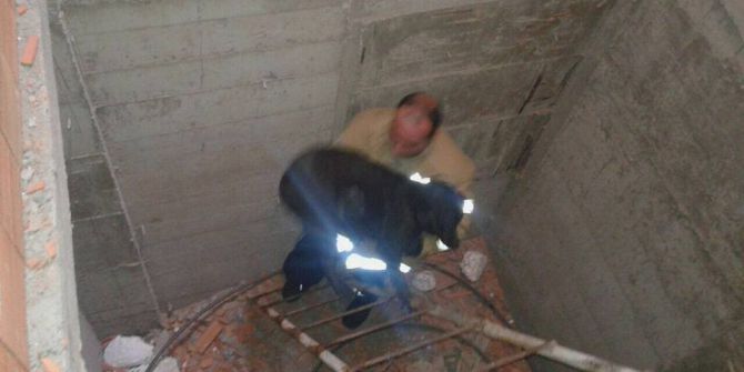 Asansör Boşluğuna Düşen Köpeği İtfaiye Kurtardı