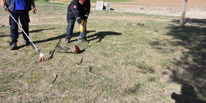 Aksaray’da Müstakil Bir Evin Müştemilatına Giren Yılan Paniğe Neden Oldu