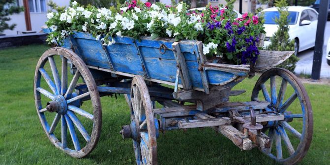 Talas Belediyesi İlçeye 50 Adet Çiçek Dikiyor