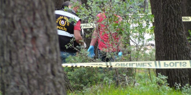 Pendik’te Ormanlık Alanda 10 Kilo A-4 Patlayıcı Bulundu