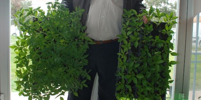 Ürünlerde Gecikme Olabilir