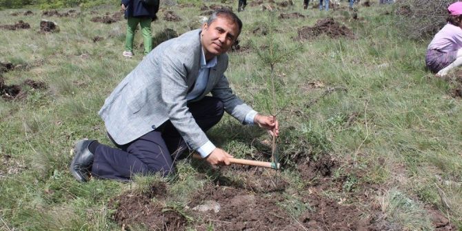 İnönü’ye Şehitlik Ormanı