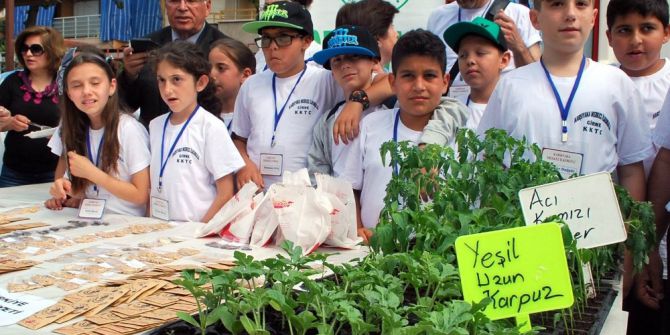 Minik Ellerin Diktiği Tohumlar Fide Oldu