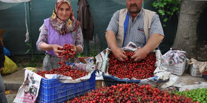 Simav Kirazı Pazardaki Yerini Aldı