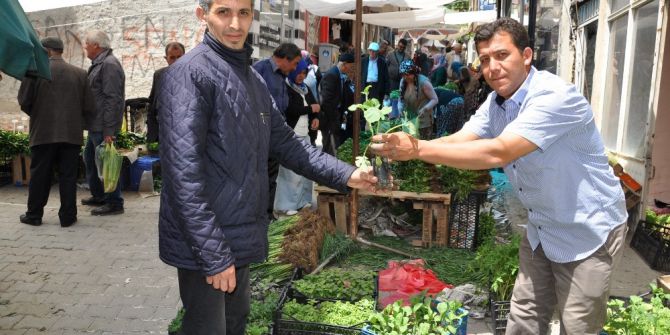 Simav’da Organik Sebze Fidesi Pazarı