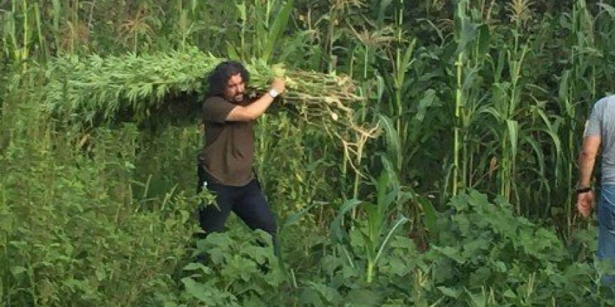 Samsun’da Uyuşturucu Operasyonu