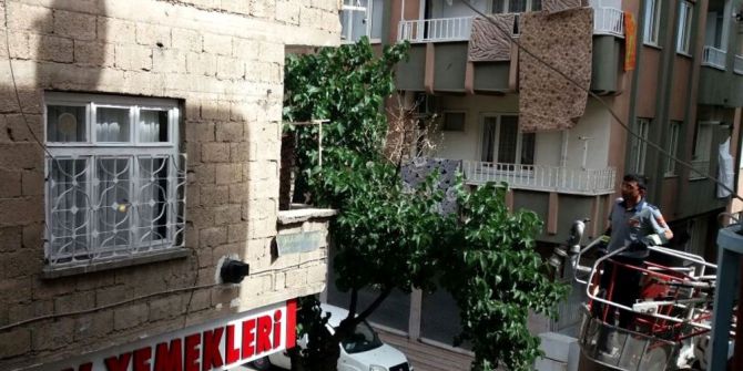 Ayağı Tele Takılan Kırlangıç İçin Seferber Oldular