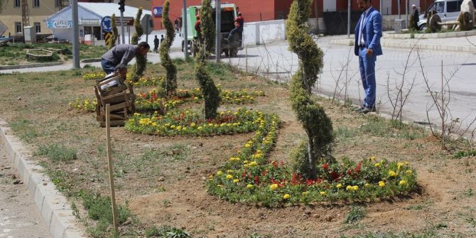 Başkale Belediyesinden Çiçek Ekimi