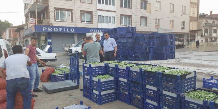 Pazaryeri’nde Boncuk Fasulye Hasadı Başladı
