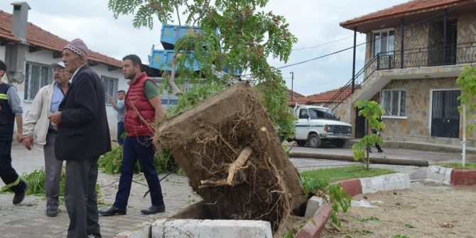Sokağa Giren Tır, Elektrik Tellerini Koparıp Ağacı Yerinden Söktü