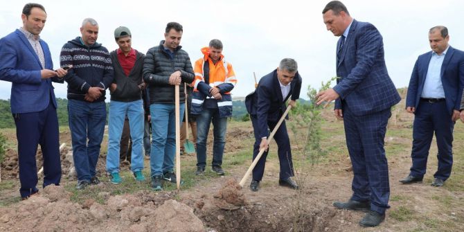 Körfez’de 5 Bin Fidan Toprakla Buluştu