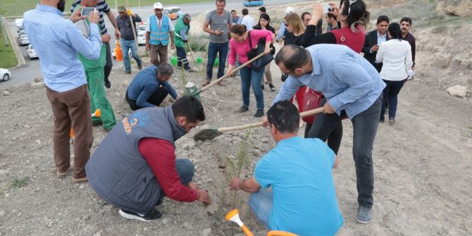 Bin Adet Fidan Toprakla Buluşturuldu