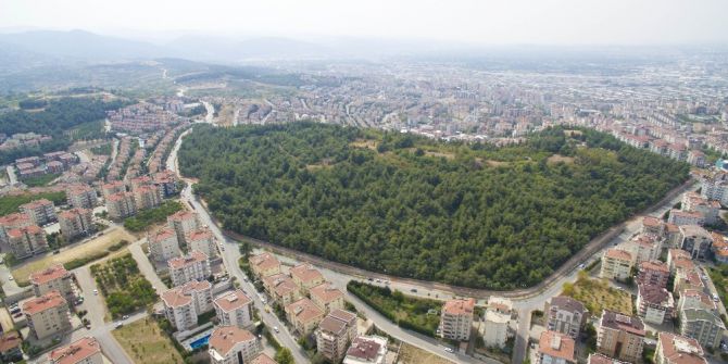 Altepe: “Cephanelik’te İmar Söz Konusu Değil“