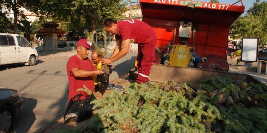Demokrasi Şehitleri Anısına İki Bin Fidan Dağıtıldı