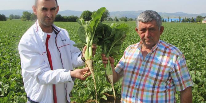 Glikoz Hem Vatandaşa, Hem Pancar Üreticisine Zarar Veriyor