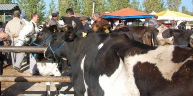 Simav’ın Hayvan Pazarı Yeniden Açıldı