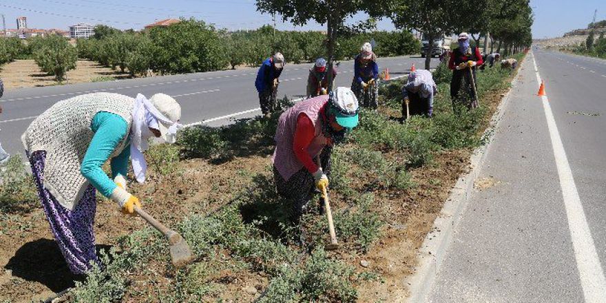 Belediyenin Yeşillendirme Çalışmaları