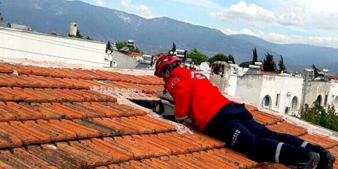 Çatıda Kedi Kurtarma Operasyonu