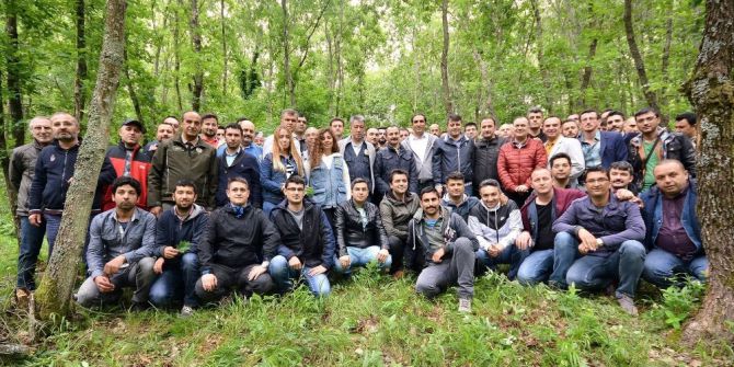 Balıkesir’de Meşe Türleri Belirlendi