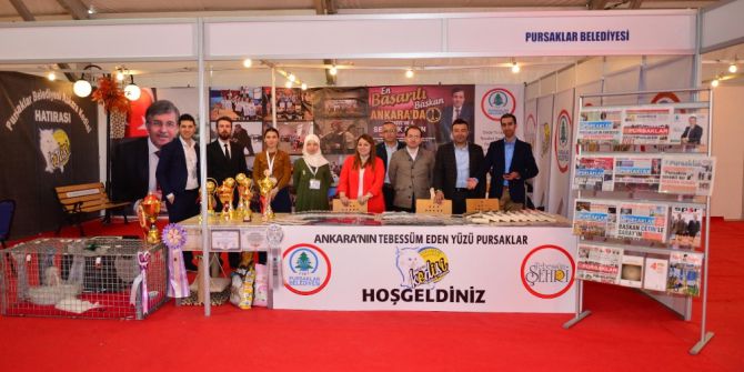 Pursaklar’ın Ankara Kedileri Akm’de İlgi Odağı Oldu