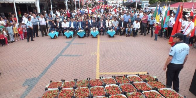 4. Kültür, Turizm Ve Çilek Festivali Başladı