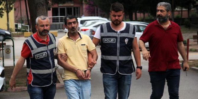 Kardeş Katili, Ağabey Tutuklandı