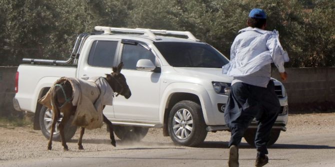 Adana’da Eşek Kaçtı, Sahibi Kovaladı