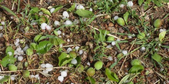 Malatya’da Dolu Yağışı