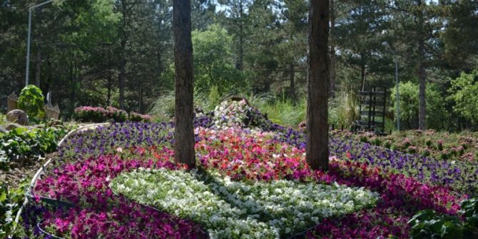 Gediz Belediyesinden Annelere Özel Çiçek Bahçesi