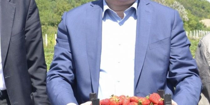 Çaturoğlu, Çilek Bahçesini Gezdi