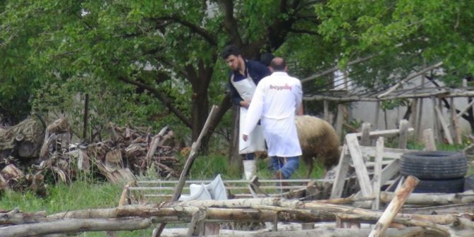Kaçan Kurbanlık Koyun Zor Anlar Yaşattı
