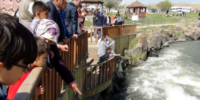 Balıkların Dansına Yoğun İlgi