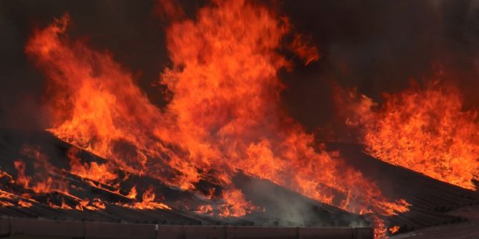 Birleşik Arap Emirlikleri’nin Kurucusunun Çiftliğinde Yangın Çıktı