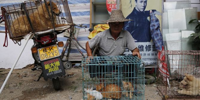 Çin’de ’Yulin Köpek Eti Festivali’ Yasaklandı