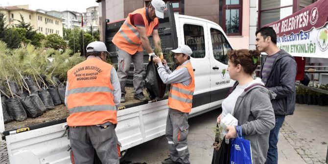 Mamak’ta Ücretsiz Fidan Dağıtımı