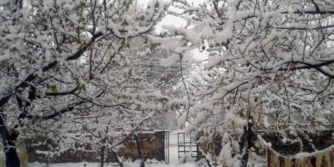 Van’da Kar Yağışı