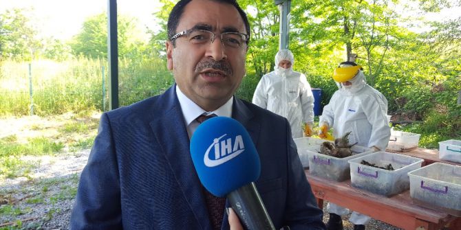 Ormanlarda Biyolojik Mücadele Devam Ediyor